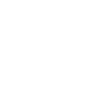 Blueberries - Icon